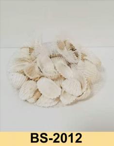 Seashell Factory directly-BS2012