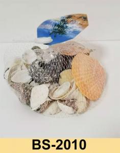 Seashell Factory directly-BS2010
